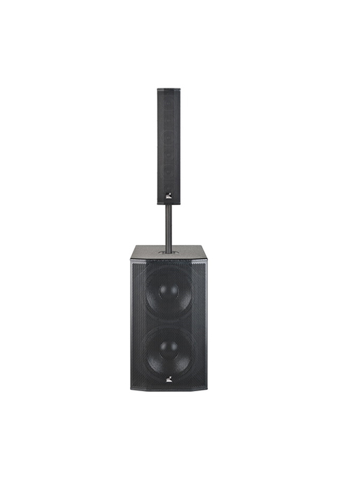 DZ-306+SW-212B组合